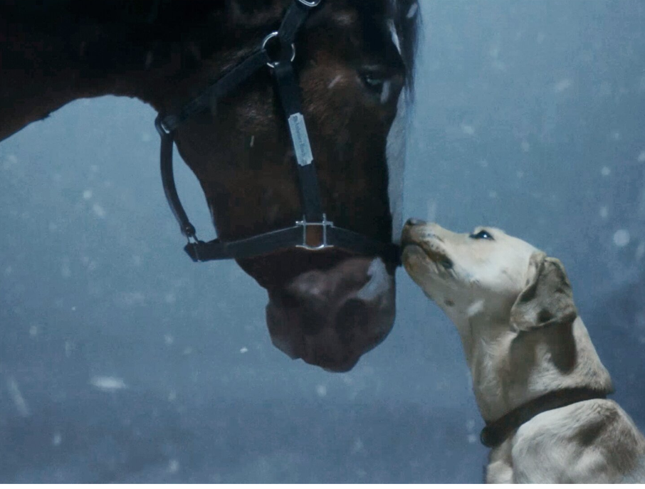 The Iconic Budweiser Clydesdales Deliver On-Screen Magic In Brand’s Super Bowl LVIII Commercial